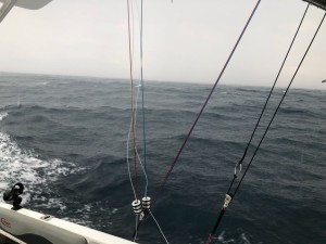 IMG 4865
