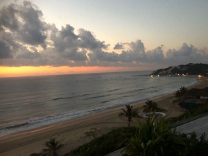 IMG 4866