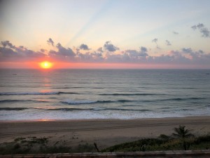 IMG 4867