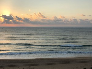 IMG 4868