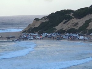 IMG 4887
